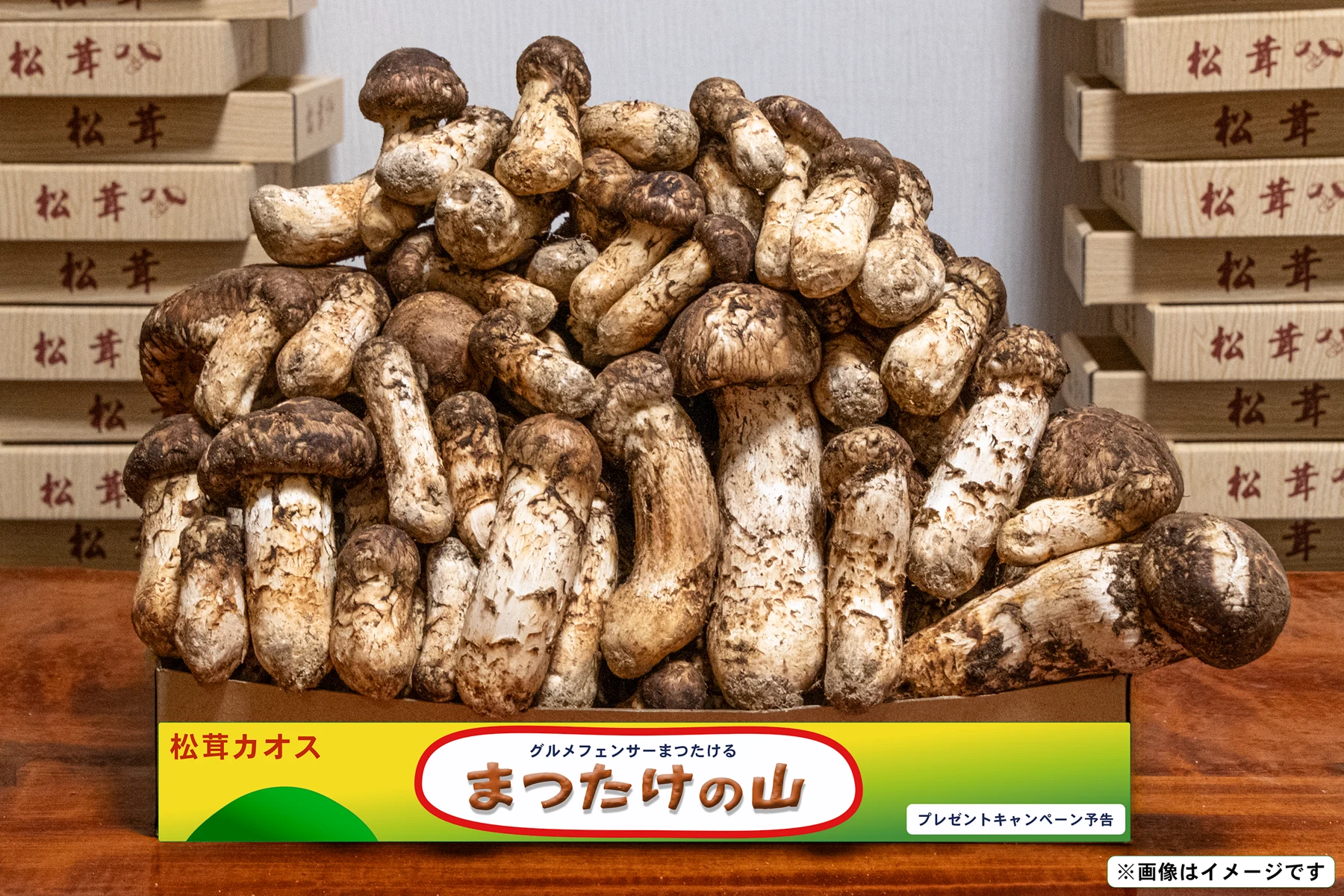 本物の松茸を山盛りにした、まつたけの山のパロディ画像